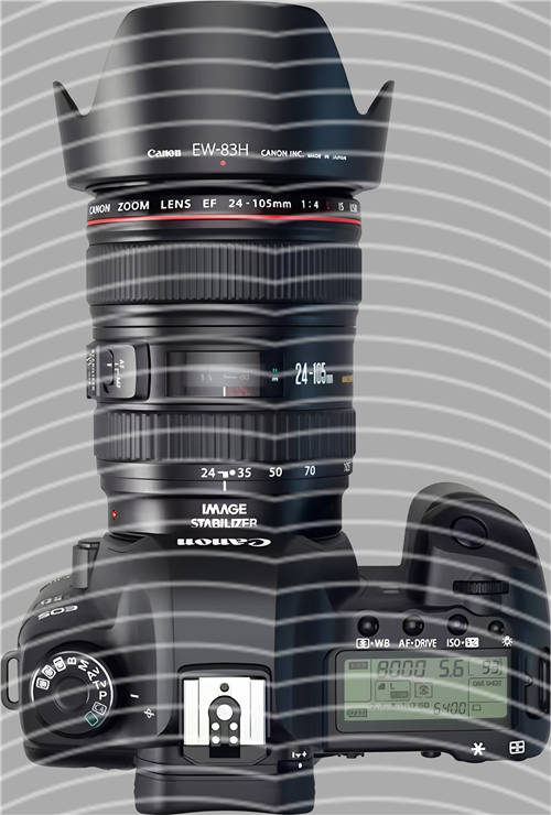 latest edition-KNY 1181